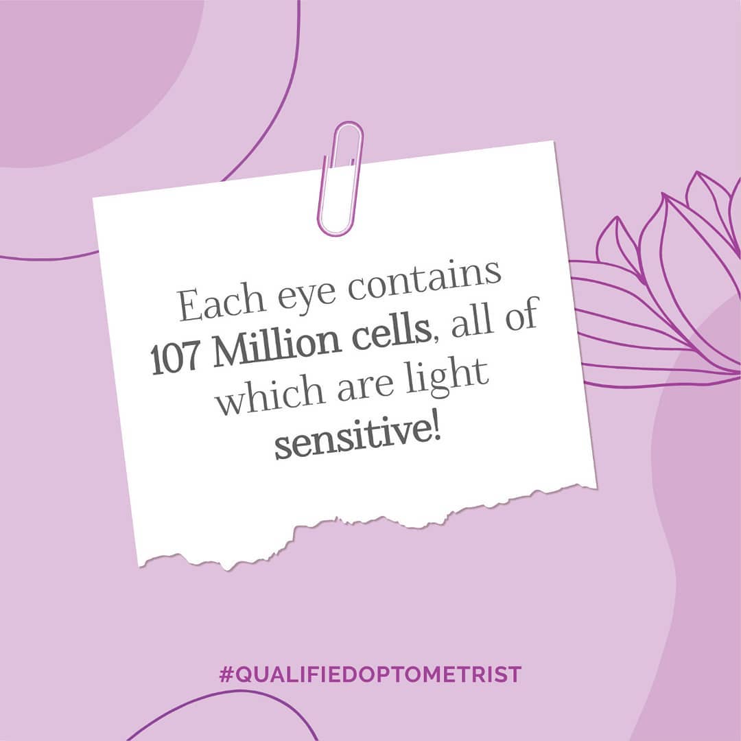 Sheth Opticals,  QualifiedOptometrist, opticians, Sheth, Opticals,, opticalshop, Ahmedabad, CustomerService, OnlyOriginals., Eyecare, Spectacles, ContactLens, Optical, Frames, Sunglasses, EyeWear, EyeWearFashion, EyeWearStyle, EyeWearTrends, EyeWearShop