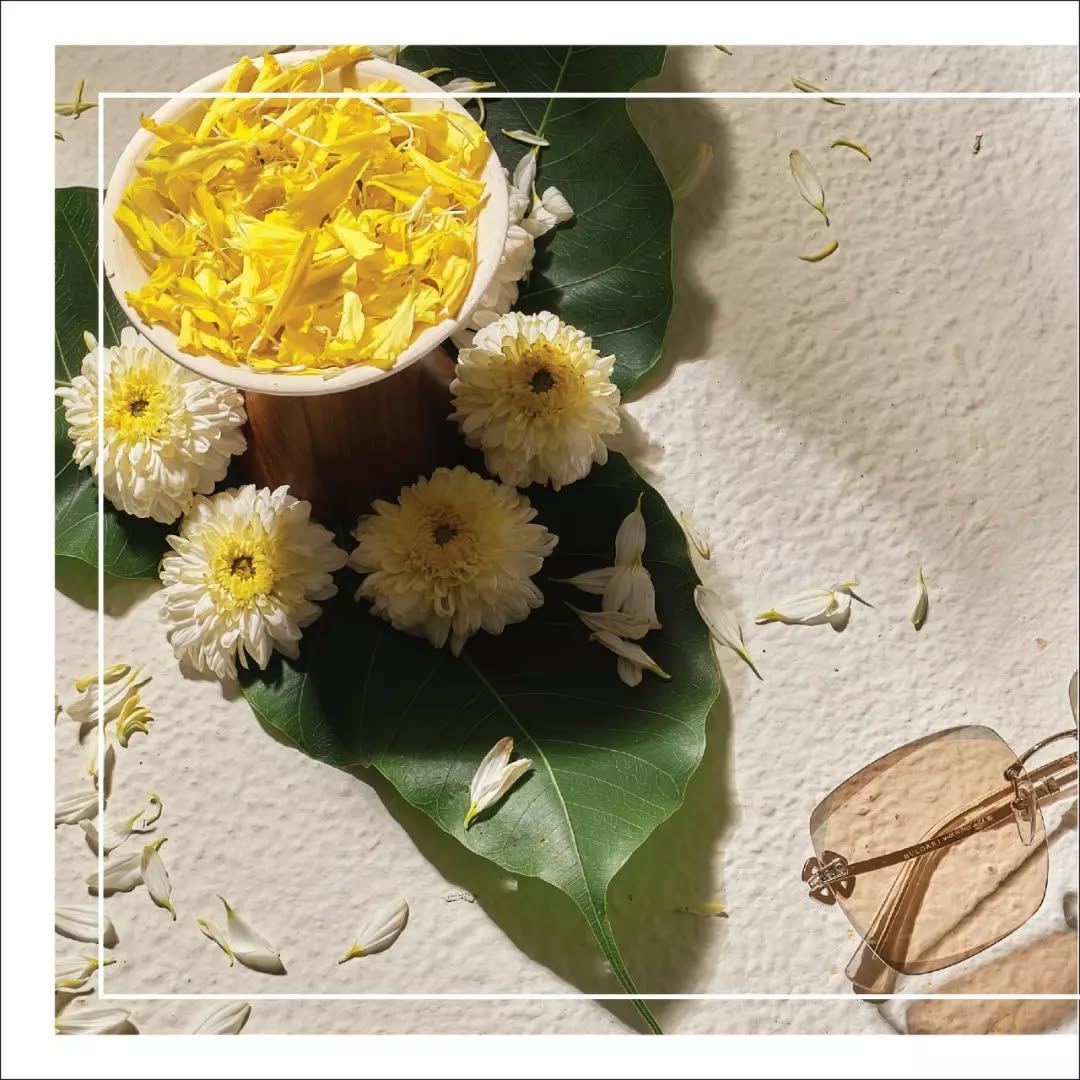 Sheth Opticals,  Prada,, Gucci, Versace, Eyewear, Sunglasses, Glasses, Fashion, EyewearFashion, Style, EyeGlasses, Optical, EyewearStyle, Frames