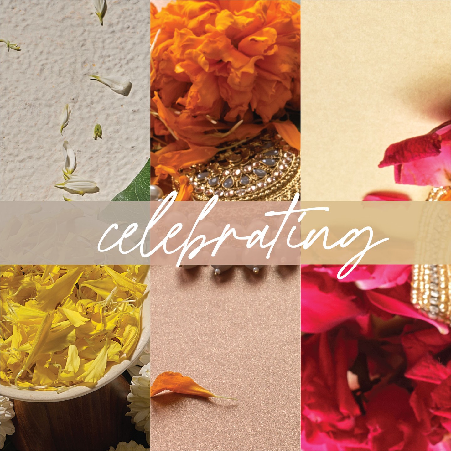 Sheth Opticals, Sheth Opticals, optical store Ahmedabad, eyewear boutique Ahmedabad, luxury eyewear India, designer sunglasses Ahmedabad, branded frames India, prescription glasses Ahmedabad, eye care services Ahmedabad, premium optical shop, sunglasses store Ahmedabad, optical shop near me, branded eyeglasses India