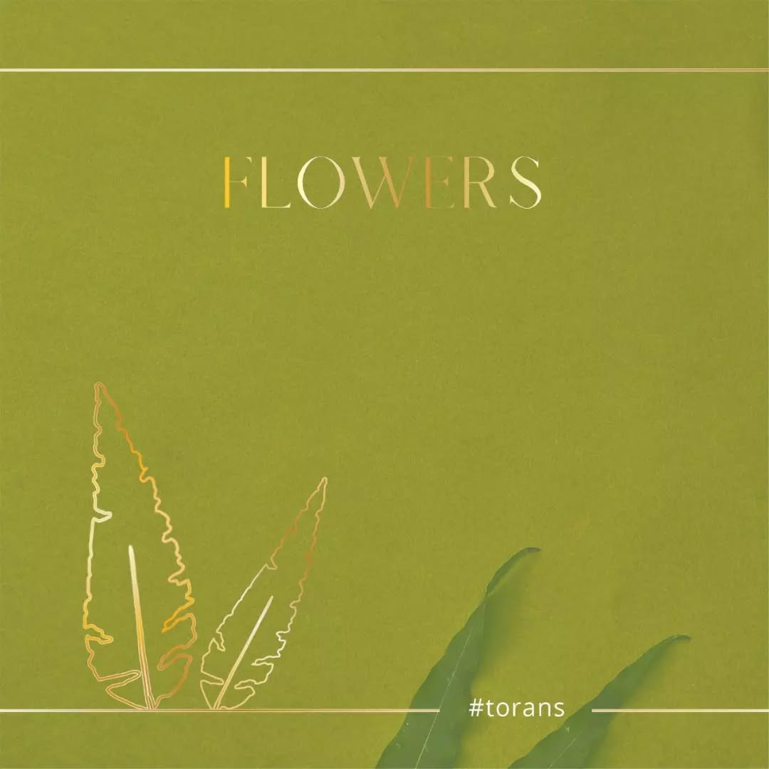 Sheth Opticals,  travel, weargear